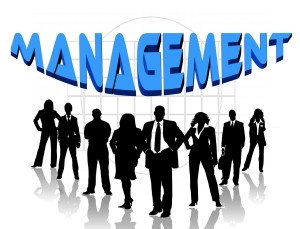 Jenesis venture management services